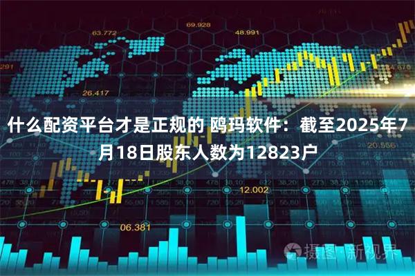 什么配资平台才是正规的 鸥玛软件：截至2025年7月18日股东人数为12823户