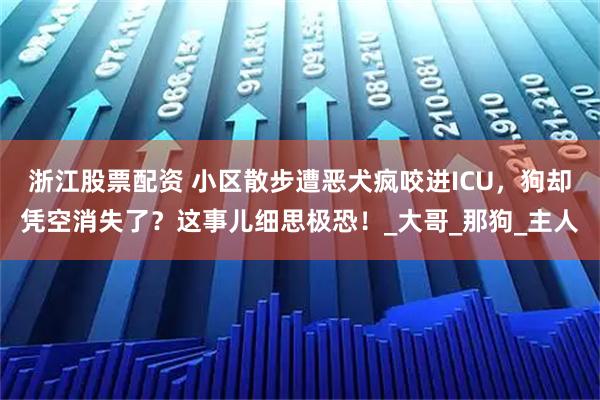 浙江股票配资 小区散步遭恶犬疯咬进ICU，狗却凭空消失了？这事儿细思极恐！_大哥_那狗_主人