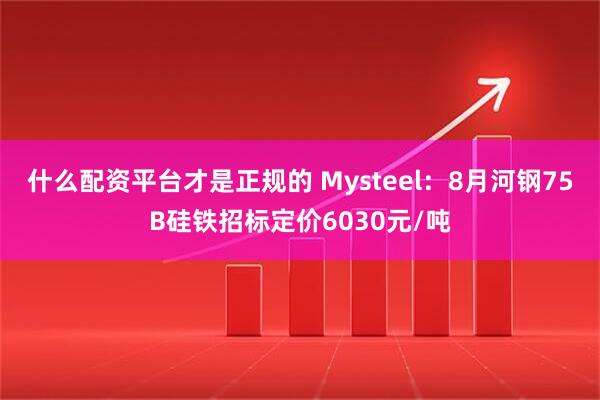 什么配资平台才是正规的 Mysteel：8月河钢75B硅铁招标定价6030元/吨